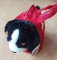 BERNER SENNENHUND IN TRAGTASCHE (NEU) ALPHORN / PLÜSCHTIER
