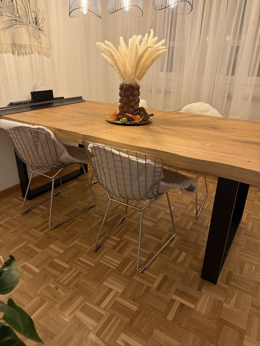 Sedie: Bertoia Esszimmerstühle – Usato da Horgen venduto da Melosita0 2