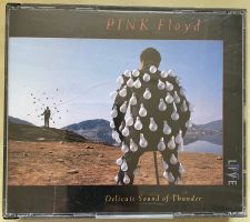 Pink Floyd - Delicate Sound of Thunder (live)