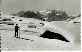 Balisalp
