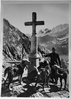 Originalfoto San Bernardino, Bernhardiner Hunde, 18 x 13 cm