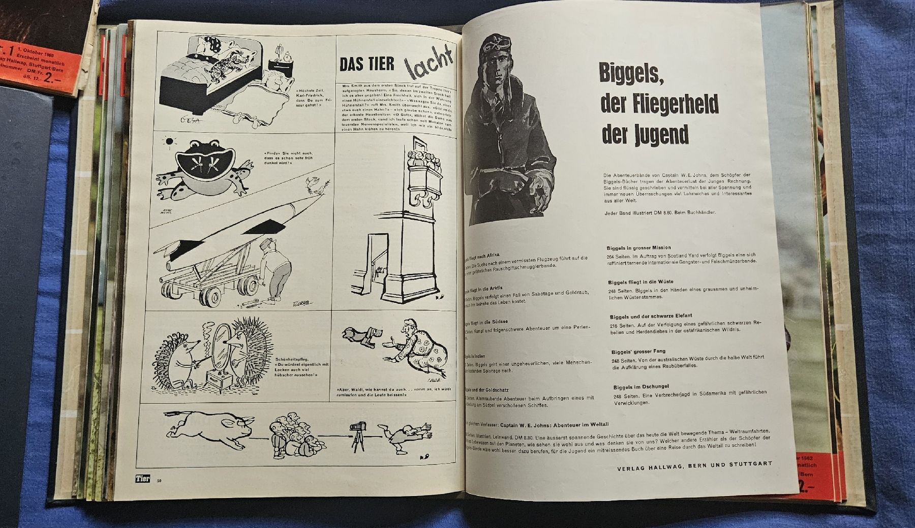 Riviste & Magazine: Zeitschriftensammlung "Das Tier" , 5 Hefte +  5 Ordner – Usato da Kaltacker venduto da Cougar01 2
