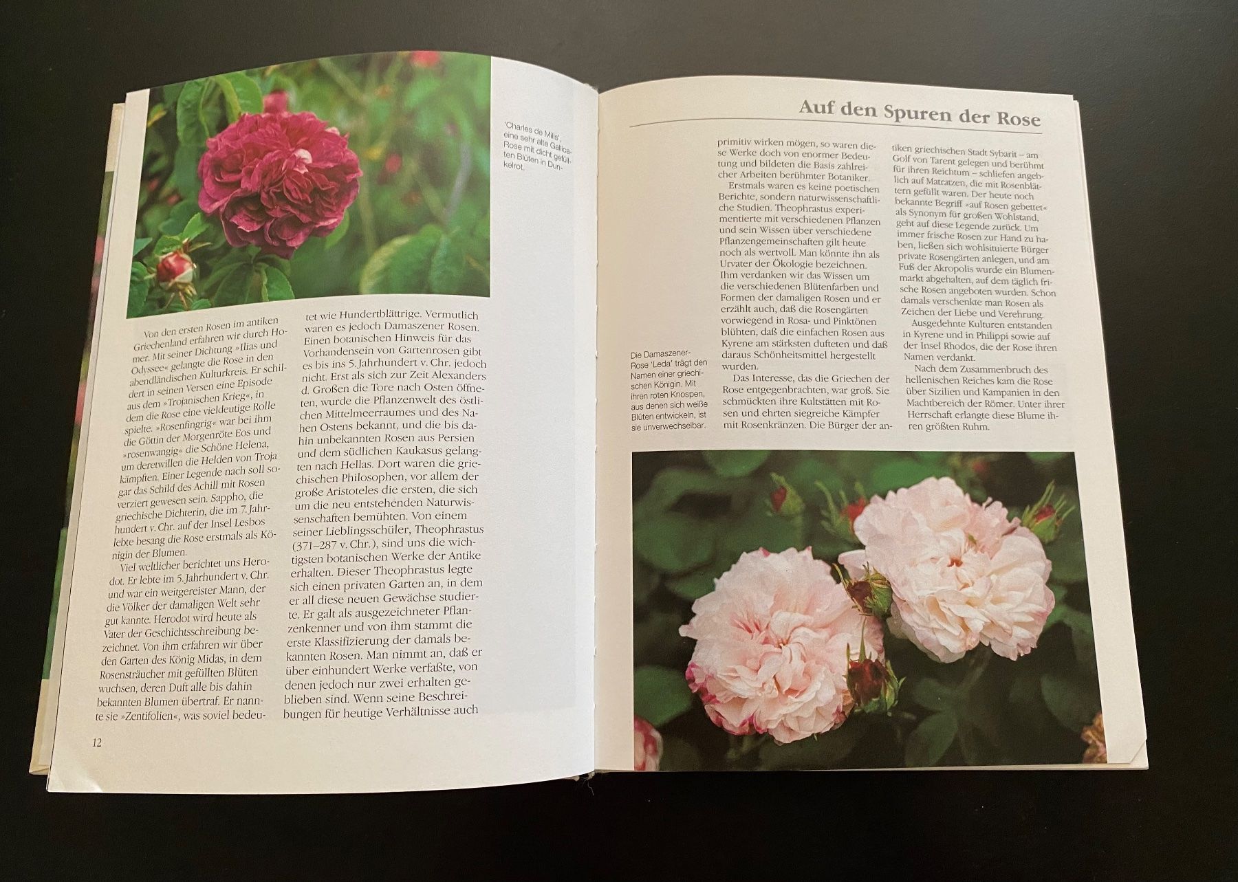 Livres: Vom Zauber der Alten Rosen – D'occasion à Nussbaumen AG par schuba2000 3