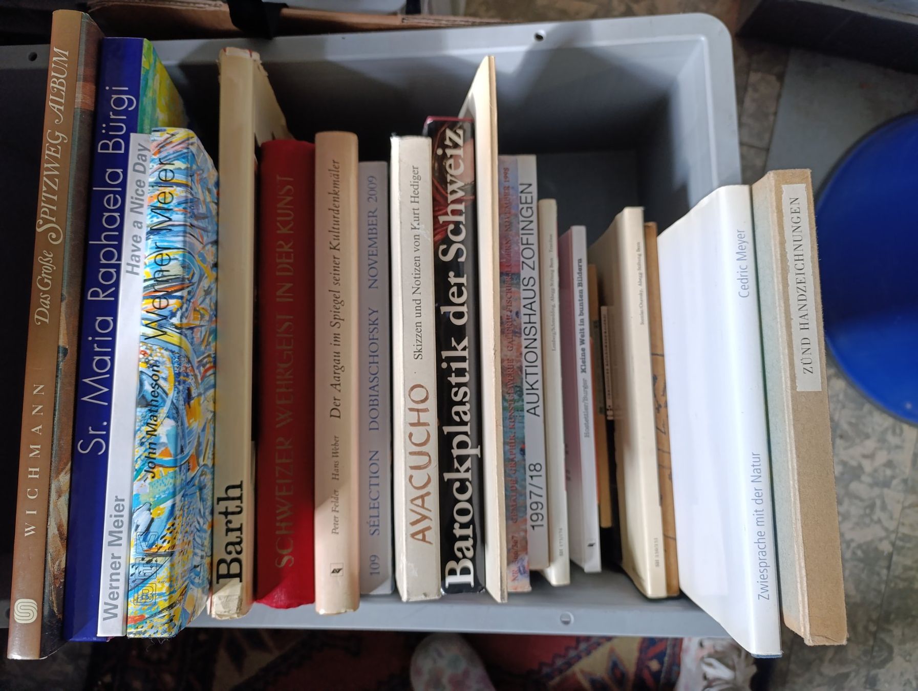 Libri: Lot Kunstbände und -bücher – Usato da zofingen venduto da Blume14
