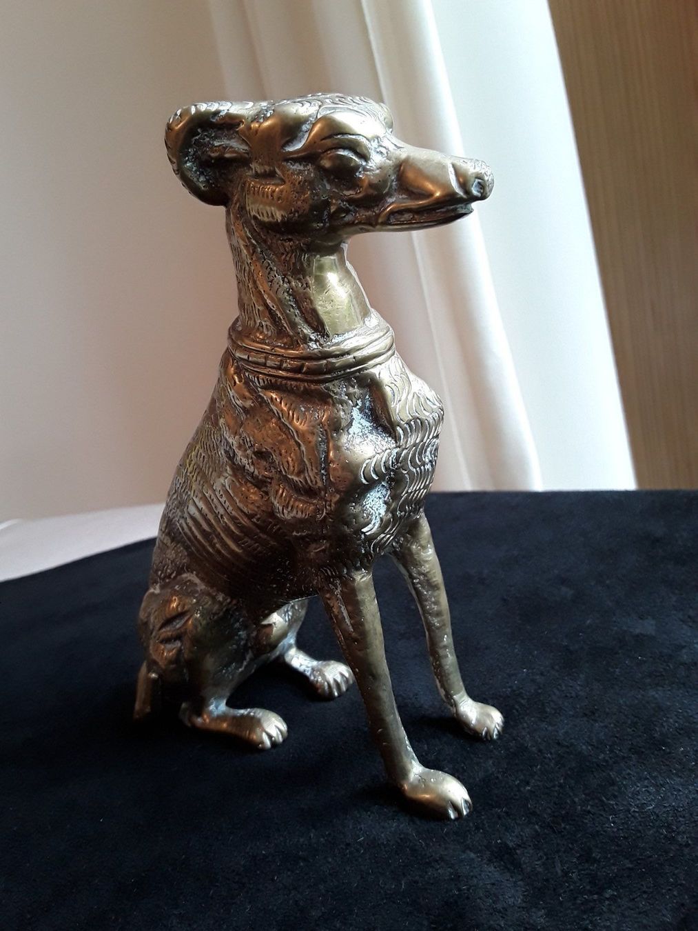 Statuette: Eleganter Messing Windhund – Usato da Zürich venduto da sanwit 3