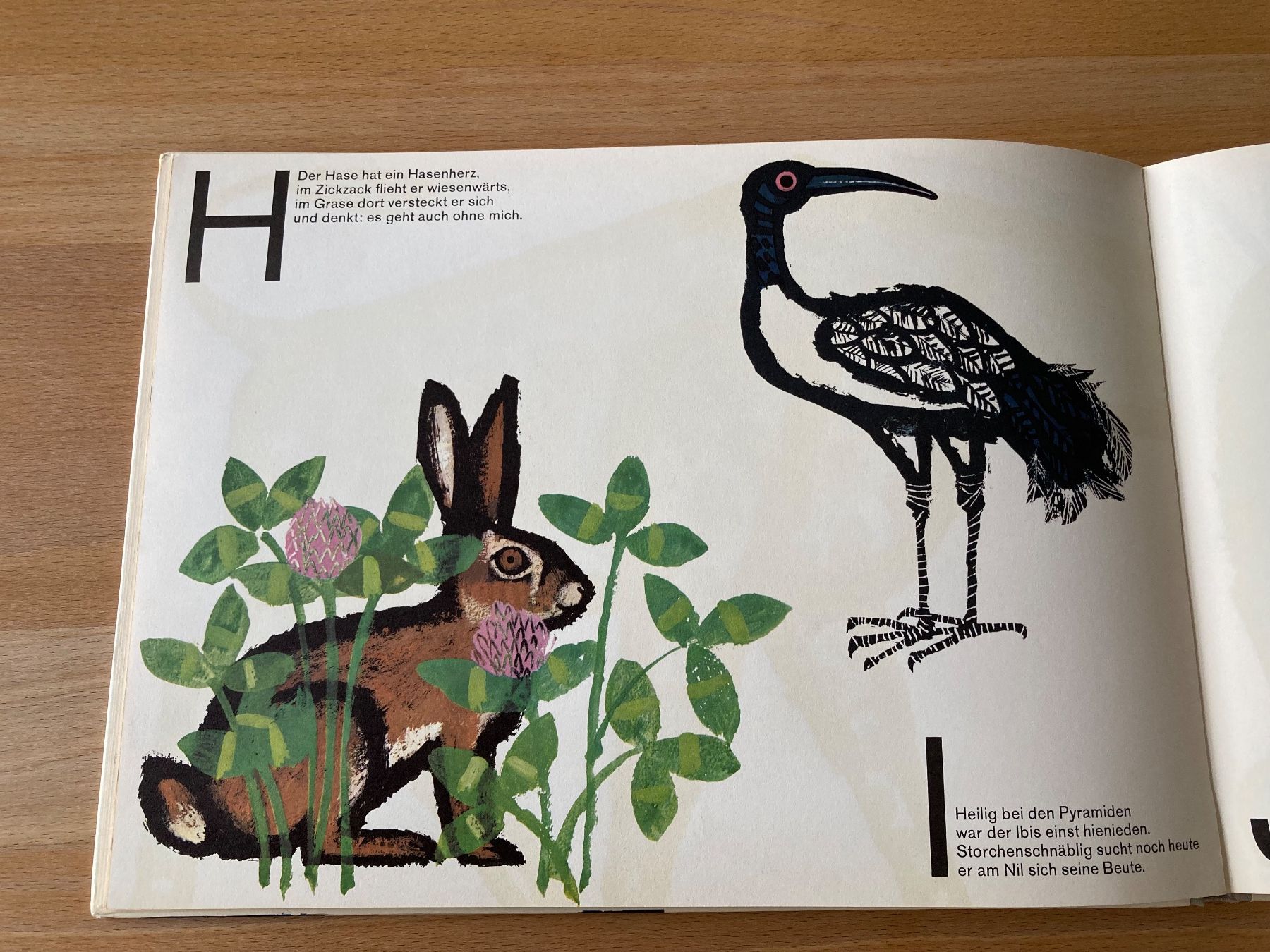 Libri: Celestino Piatti: ABC der Tiere – Nuovo (secondo la descrizione) da Landschlacht venduto da Ajee2 4
