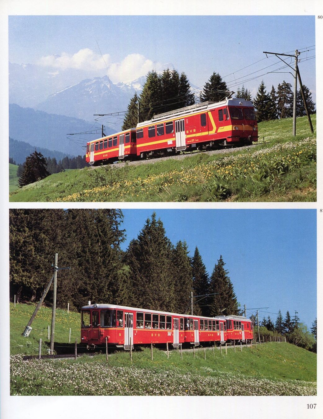 Libri: Schweiz, Schmalspurige Privatbahnen – Usato da Aarau venduto da Elmaar41 4