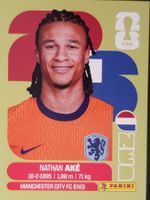 Panini 2026 NED7