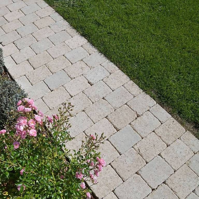 Pietre & tegole: Tegula Pflastersteine – Nuovo (secondo la descrizione) da Dietschwil venduto da Rahelsutter 1