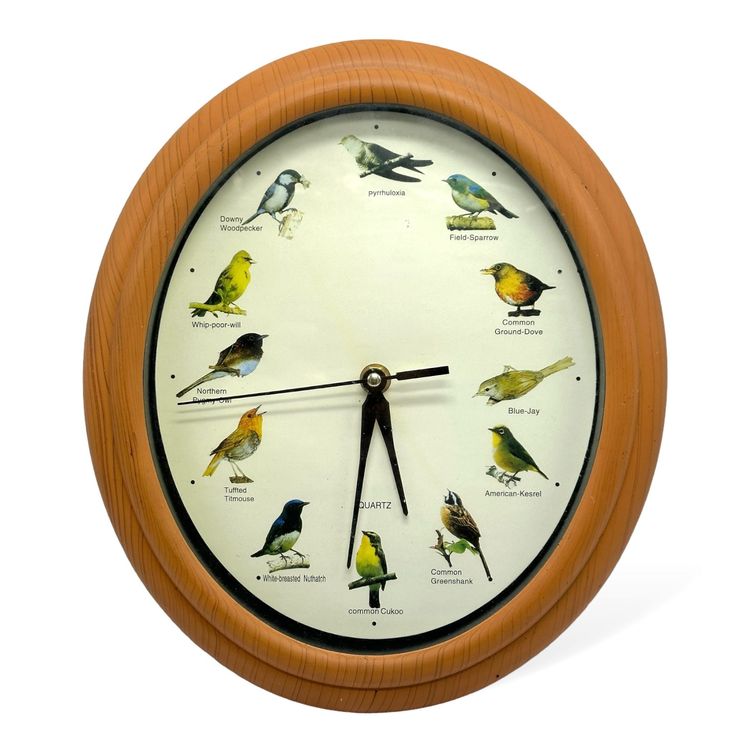 Horloge murale chants d’oiseaux (Neu und originalverpackt) in für CHF