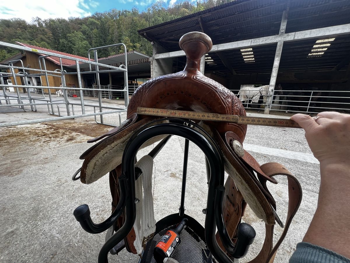 Selles, accessoires: Wunderschöner Reining Sattel  – D'occasion à Oerlingen par Lucaphil01 7