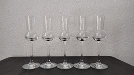 5 grappa/Schnapps Gläser/glasses/bicchieri