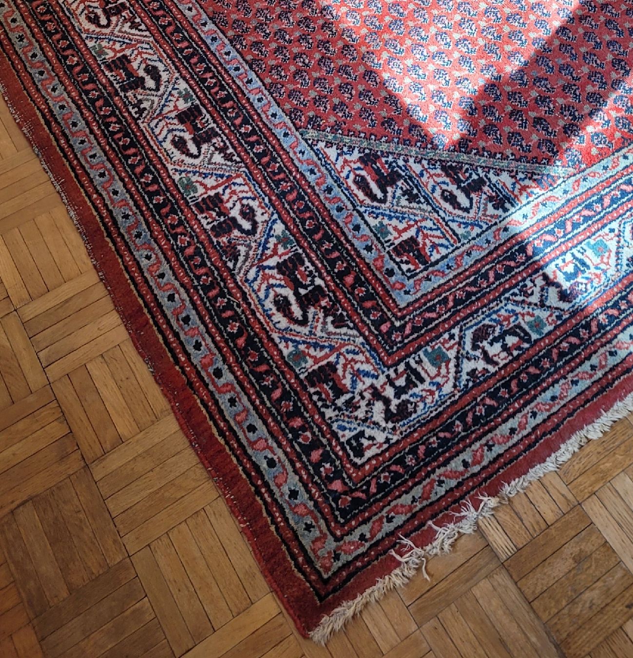 Teppiche: Tapis oriental "Baloutch" – Gebraucht aus Rocourt von PapyCH 3
