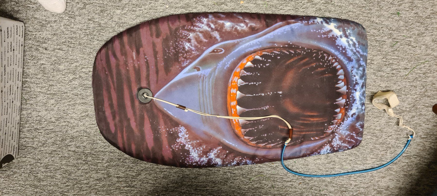 Surfboards & Schwimmbrette: Wasser Board – Gebraucht aus Volketswil von James2012 2