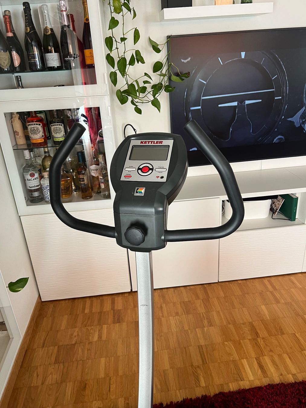 Kettler Hometrainer: Cyclette Kettler Ergo Meter AX1 Usato – Usato da Stäfa venduto da Gatto08