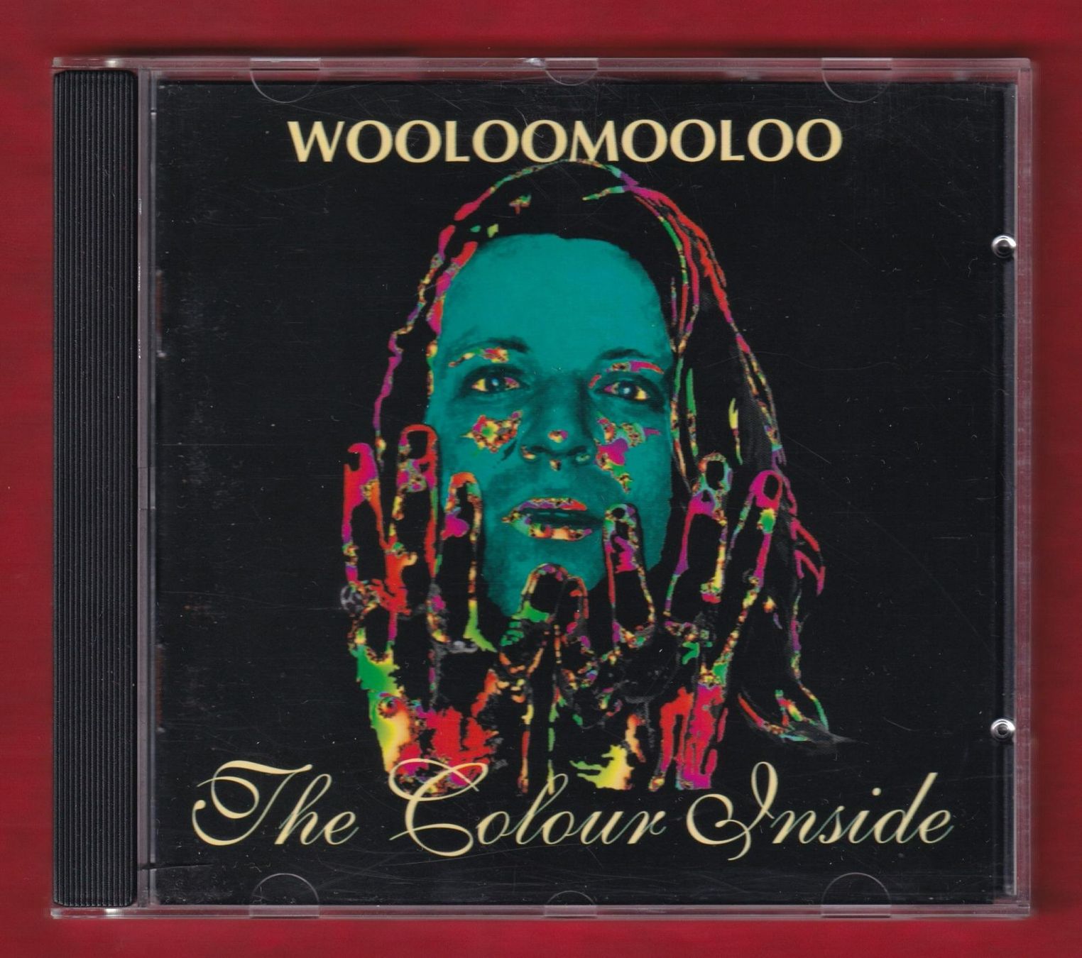 CDs: Wooloomooloo - The Colour Inside (CH-Rock) (CD) – Gebraucht aus Zürich von Pfluftl2000
