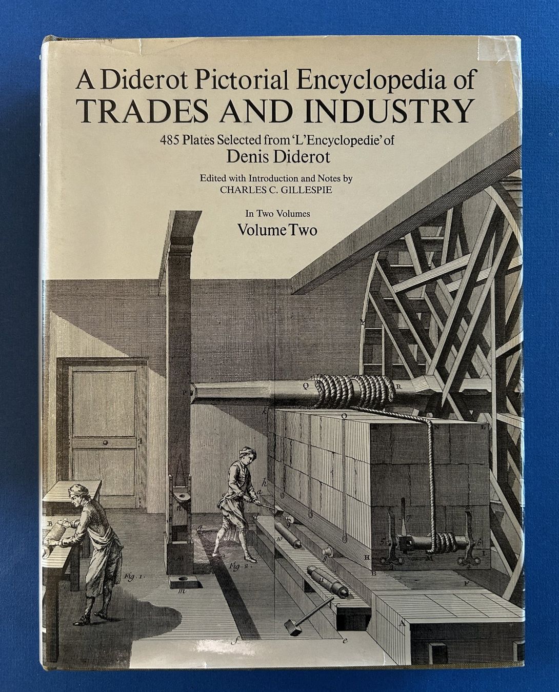 Libri: A DIDEROT PICTORIAL ENCYCLOPEDIA... – Usato da Zürich venduto da Domus09 1