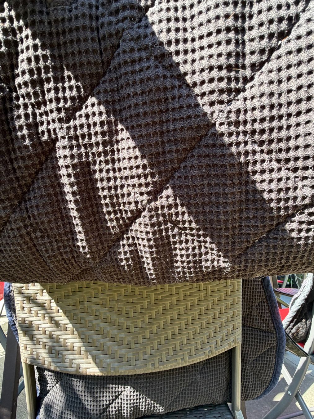 Selle & Accessori: Chabraque / tapis de selle équitation – Usato da Posieux venduto da evs_57x2 2