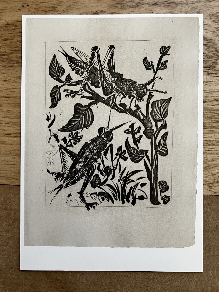 Cartoline postali: AK Picasso – Nuovo (secondo la descrizione) da Buchs AG venduto da Allerleis