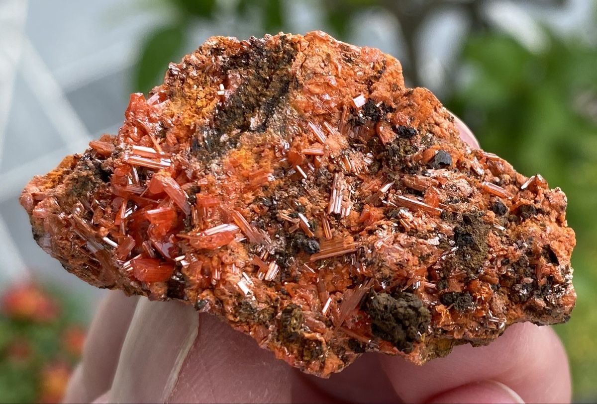 Mineralien & Heilsteine: Top Stück Krokoit  – Gebraucht aus Selzach von 321compac 9