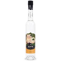 Absinthe Grenouillarde