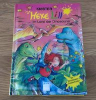 Hexe Lilli im Land der Dinosaurier, Band 17