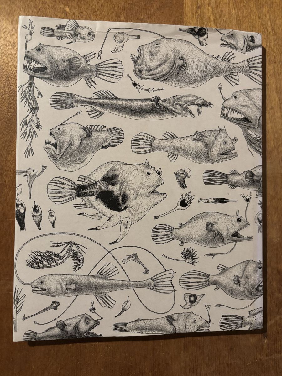 Livres: Jared Muralt. Tiefsee Angler – D'occasion à Zürich par WWehrle 3