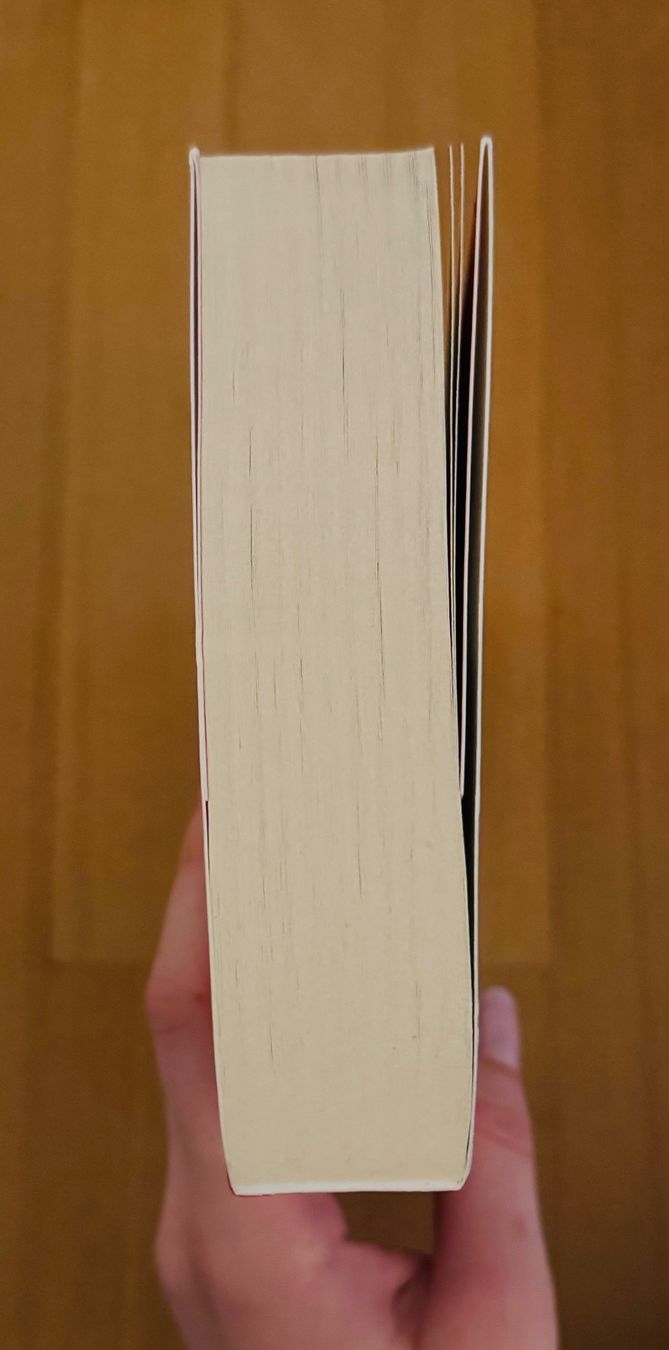 Bücher: Lying Game- Sarah Sheperd – Gebraucht aus Bettwil von bellis_perennis_222 3
