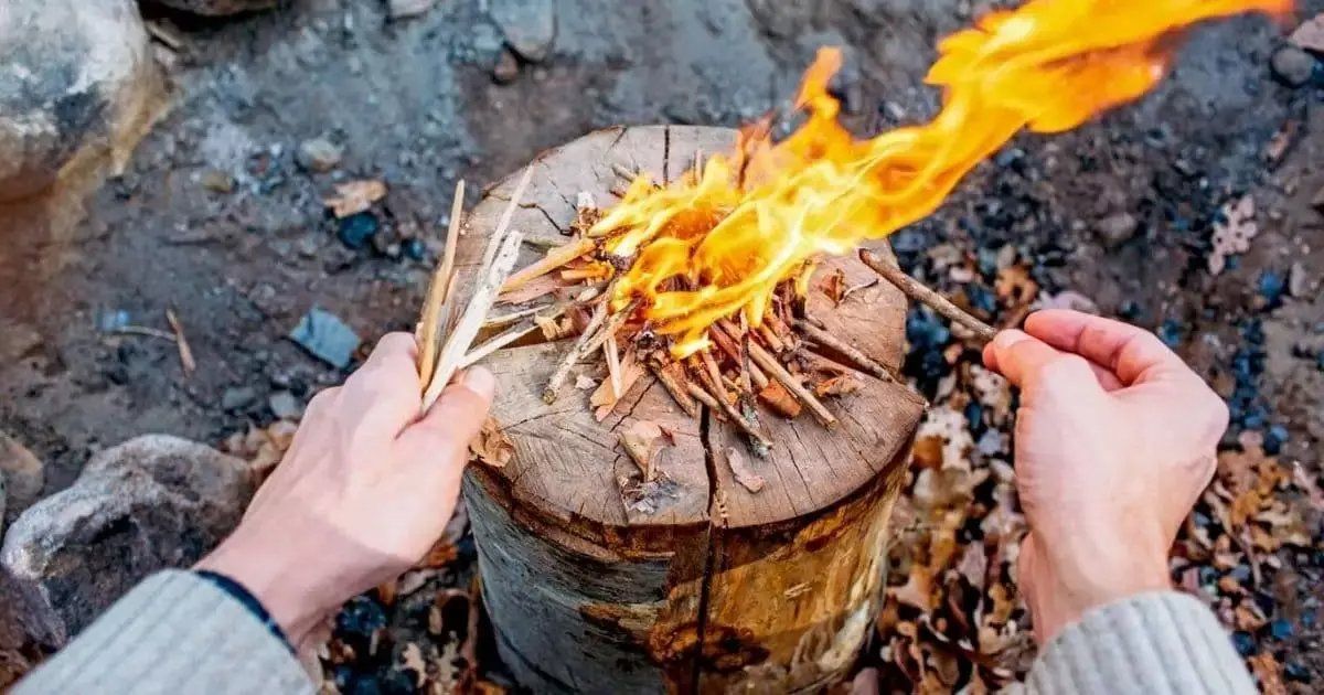 Articoli in legno: Bois de chauffage de qualité (3 types) – Usato da Vétroz venduto da Polygroup 6