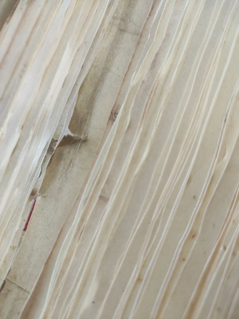 Livres: FAKSIMILE - DAS GRADUALE VON ST. KATHARINENTHAL – D'occasion à Goldach par Gaip 8
