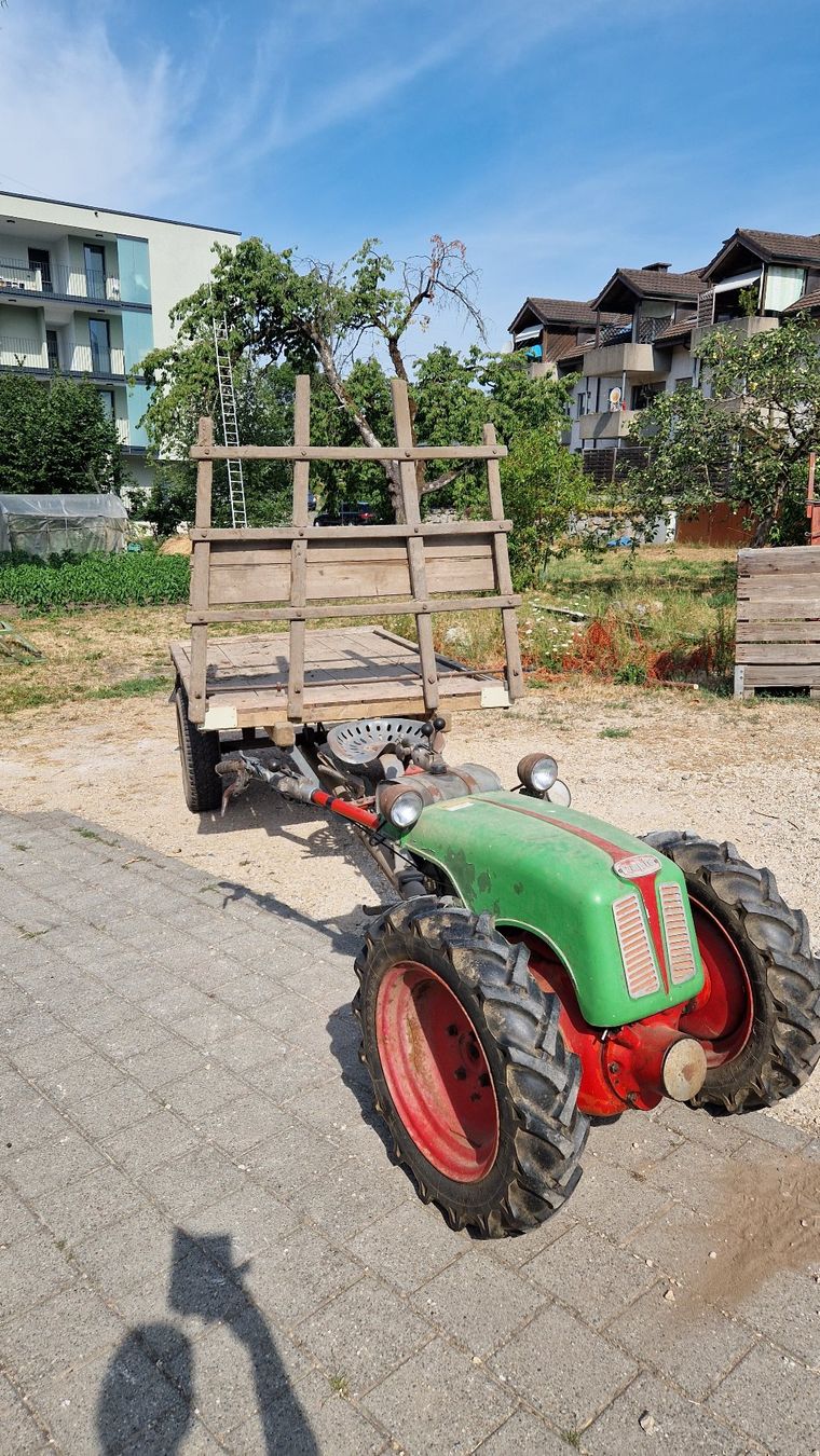 Rapid Toutes les machines: Rapid 606 Motormäher Balkenmäher – D'occasion à Kerzers par Saerchen 2