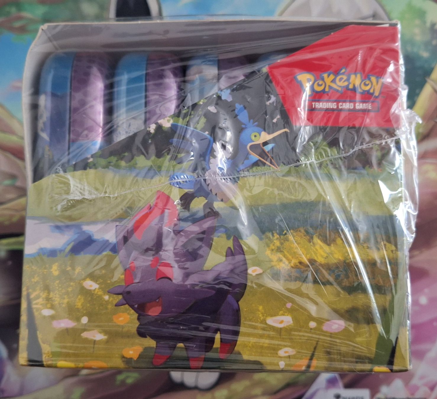Pokémon Carte collezionabili: Pokemon Mini Tin Display Ascended Heroes EN – Nuovo e nell'imballaggio originale da Naters venduto da poketrade11 1