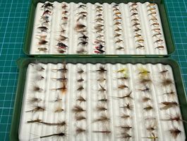 Fliegenset mit  Trockenfliegen  Nassfliegen Nymphen Nr.19