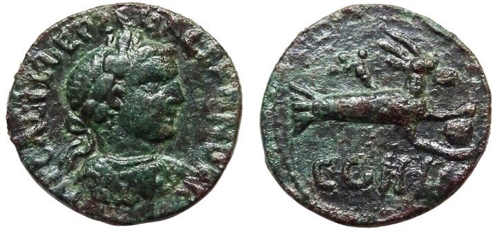 Mysia. Parion. SEVERUS ALEXANDER bronze coin (222-235 AD) - (Gebraucht ...