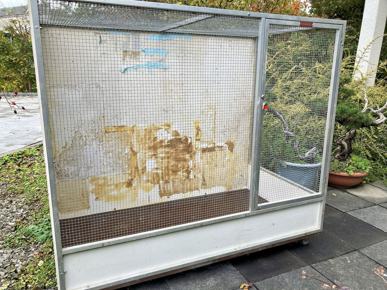 Gabbie, trasporto & Sicurezza: Grosse Voliere von Leuenberger – Usato da Benken SG venduto da Rolf8677