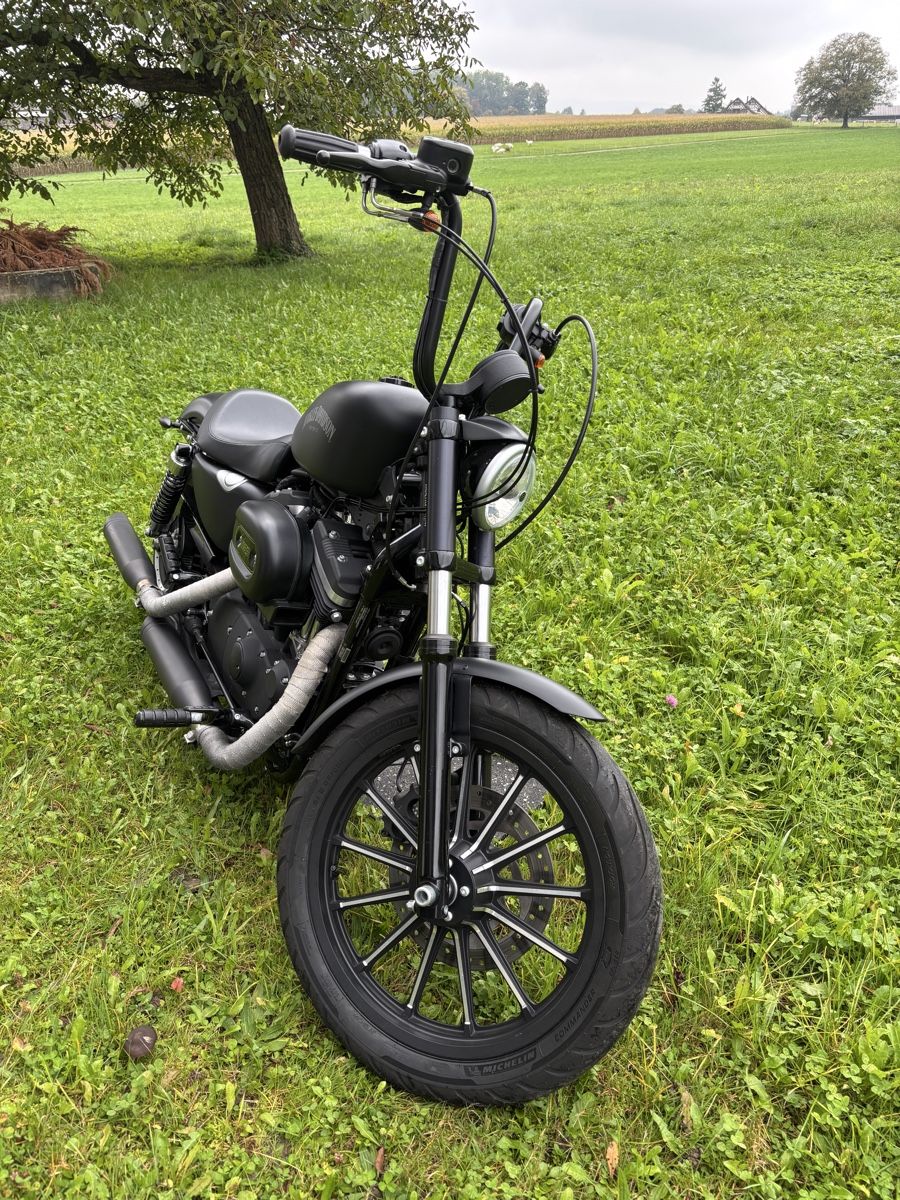 Chopper: Harley Davidson Sporster Iron 883 – Gebraucht aus Illnau von Zelgliservice 1