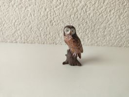 Schleich Waldkauz Vogel Waldtiere Eule Kauz Zoo