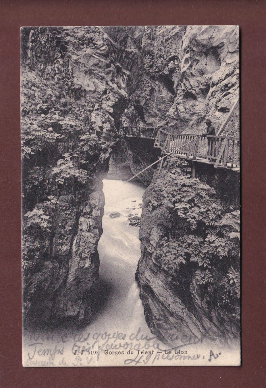 Ansichtskarten: GORGES DU TRIENT - Le Lion - 1904 – Gebraucht aus Pully von nicecards-shop