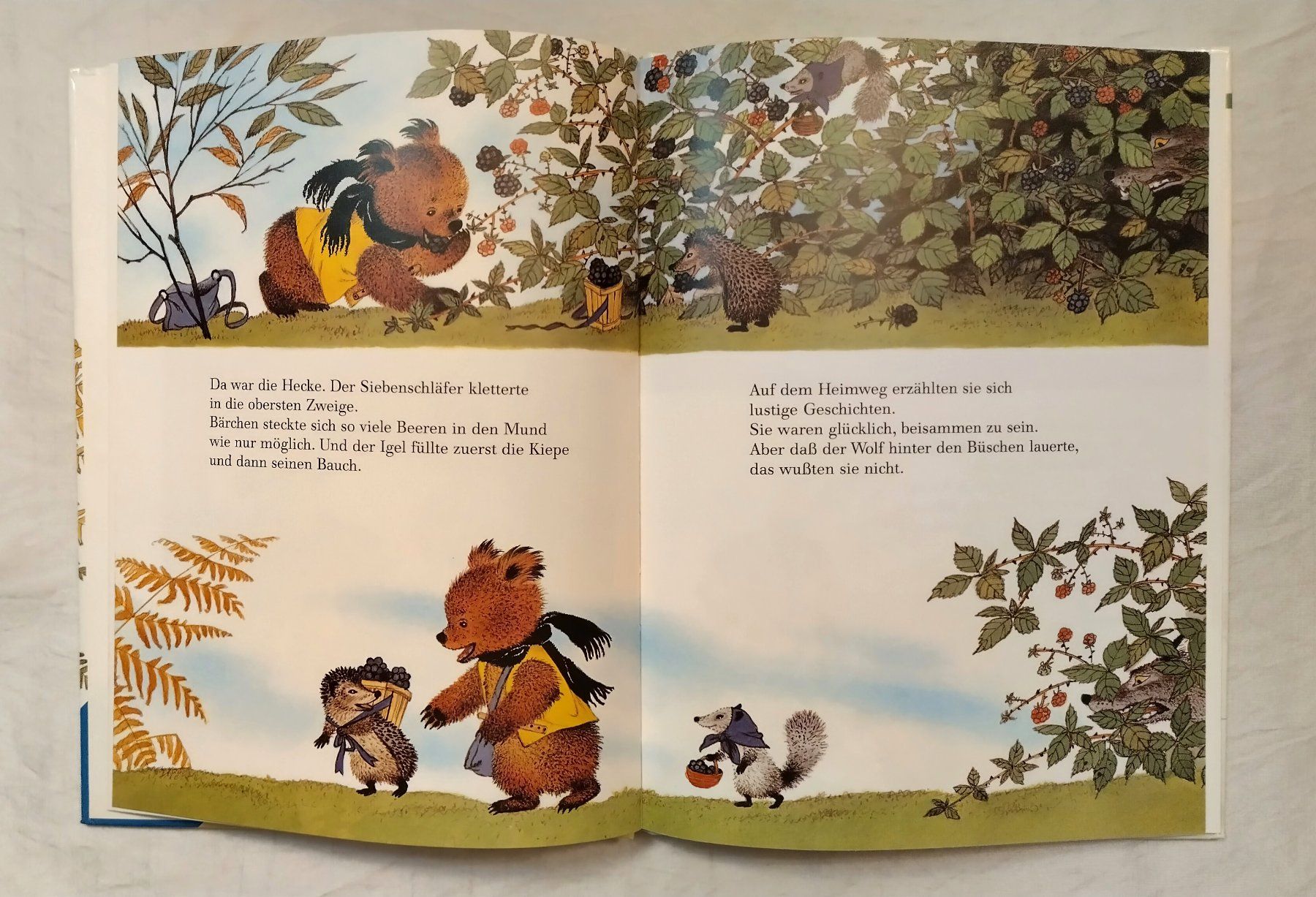 Libri: Das Flötenbärchen / Bären Bilderbuch von Gerda Muller – Usato da Bellach venduto da JingleJerry 5