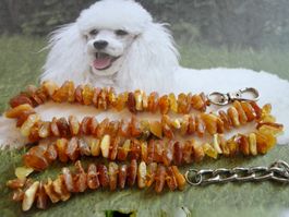 Hunde -Bernsteinkette/Amber/Ambre präsentiert von Stroom