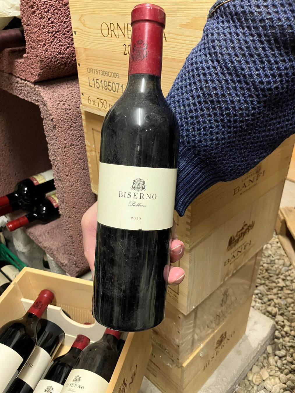 Vino: Biserno 2010 Toscana Bibbona – Usato da Rancate venduto da FiorAngela011