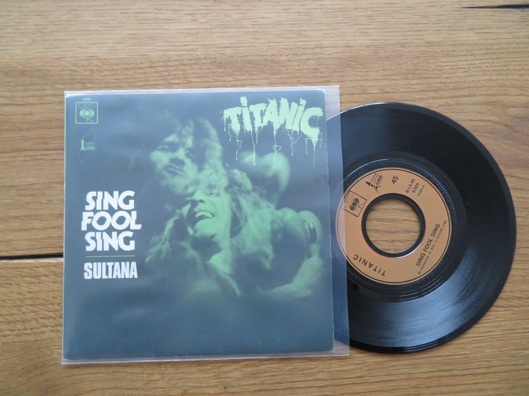 Dischi in vinile: TITANIC SINGEL – Nuovo (secondo la descrizione) da Zürich venduto da max_cp5f