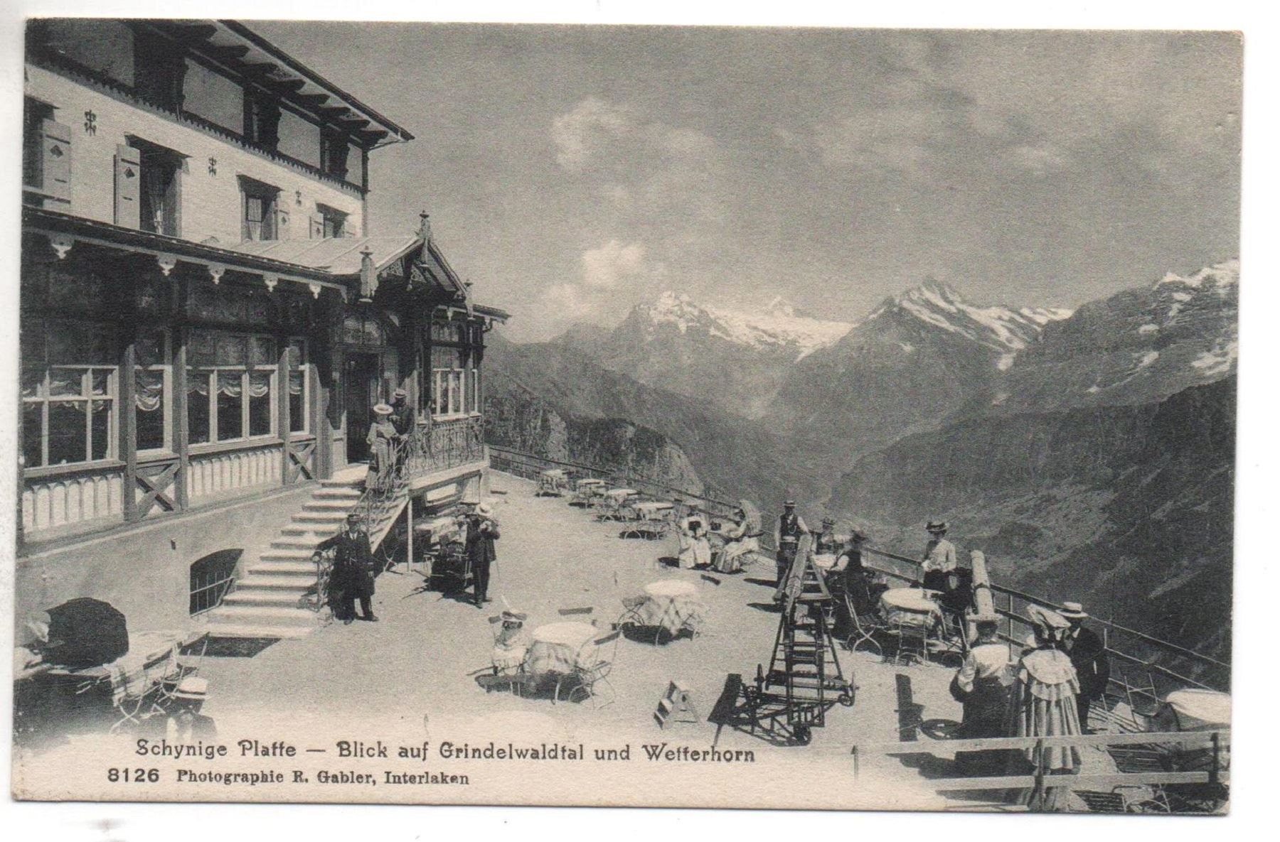 Cartoline postali: SCHYNIGE PLATTE Blick auf Gindelwaldtal – Nuovo (secondo la descrizione) da Jona venduto da philajona