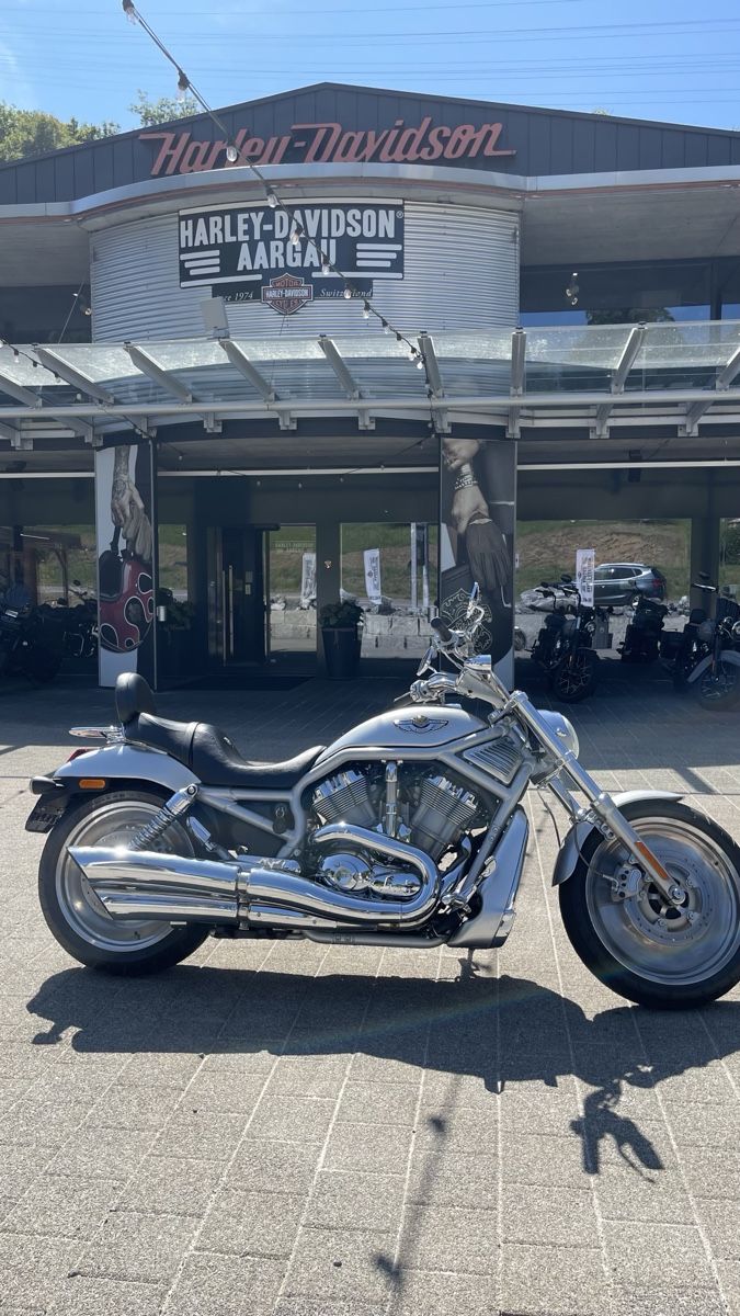 Harley-Davidson Chopper: Harley-Davidson V-Rod Jubiläumsversion – Gebraucht aus Strengelbach von jumbo76