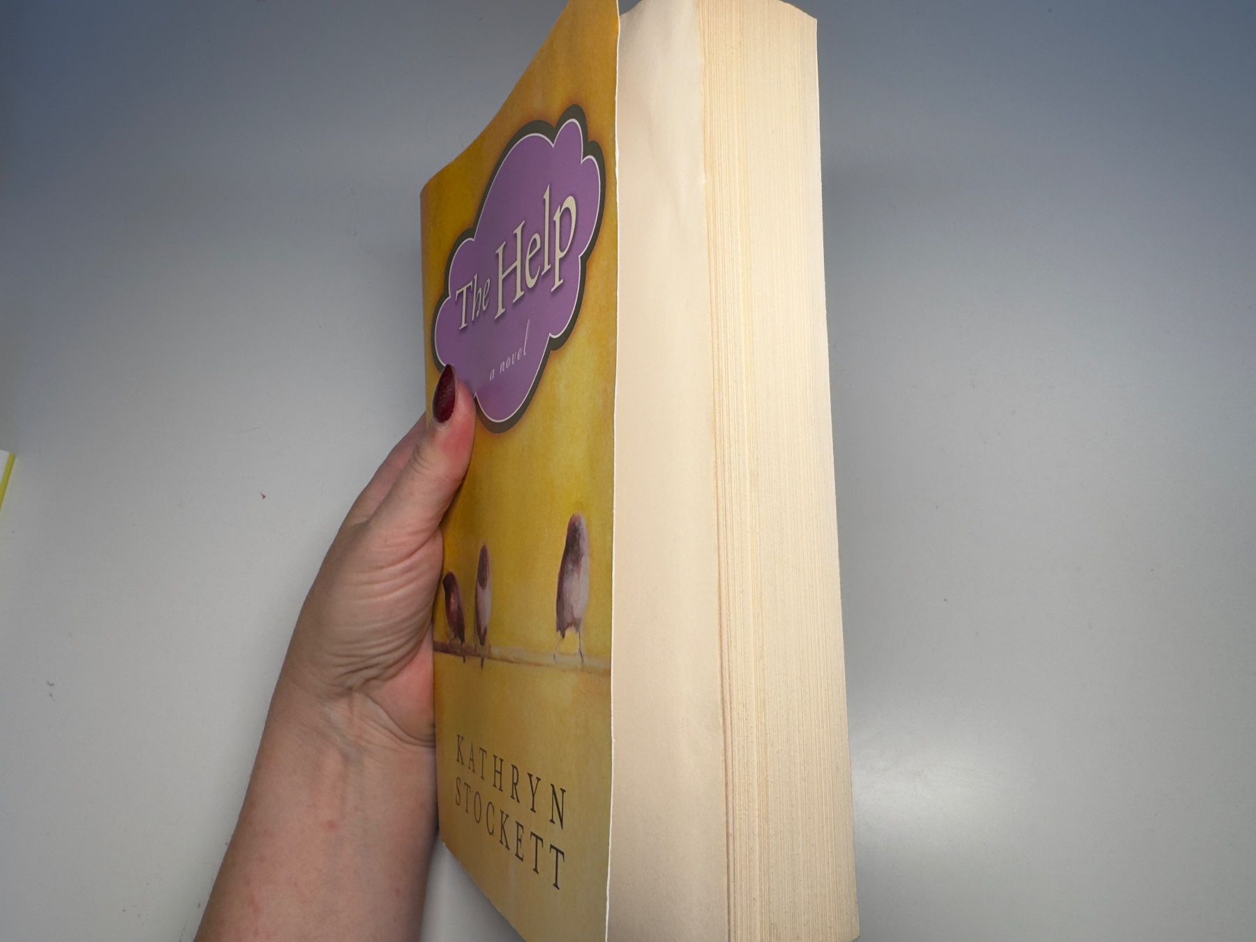 Bücher: NOVEL: Kathryn Stockett, The help – Gebraucht aus Grosswangen von English_books 1
