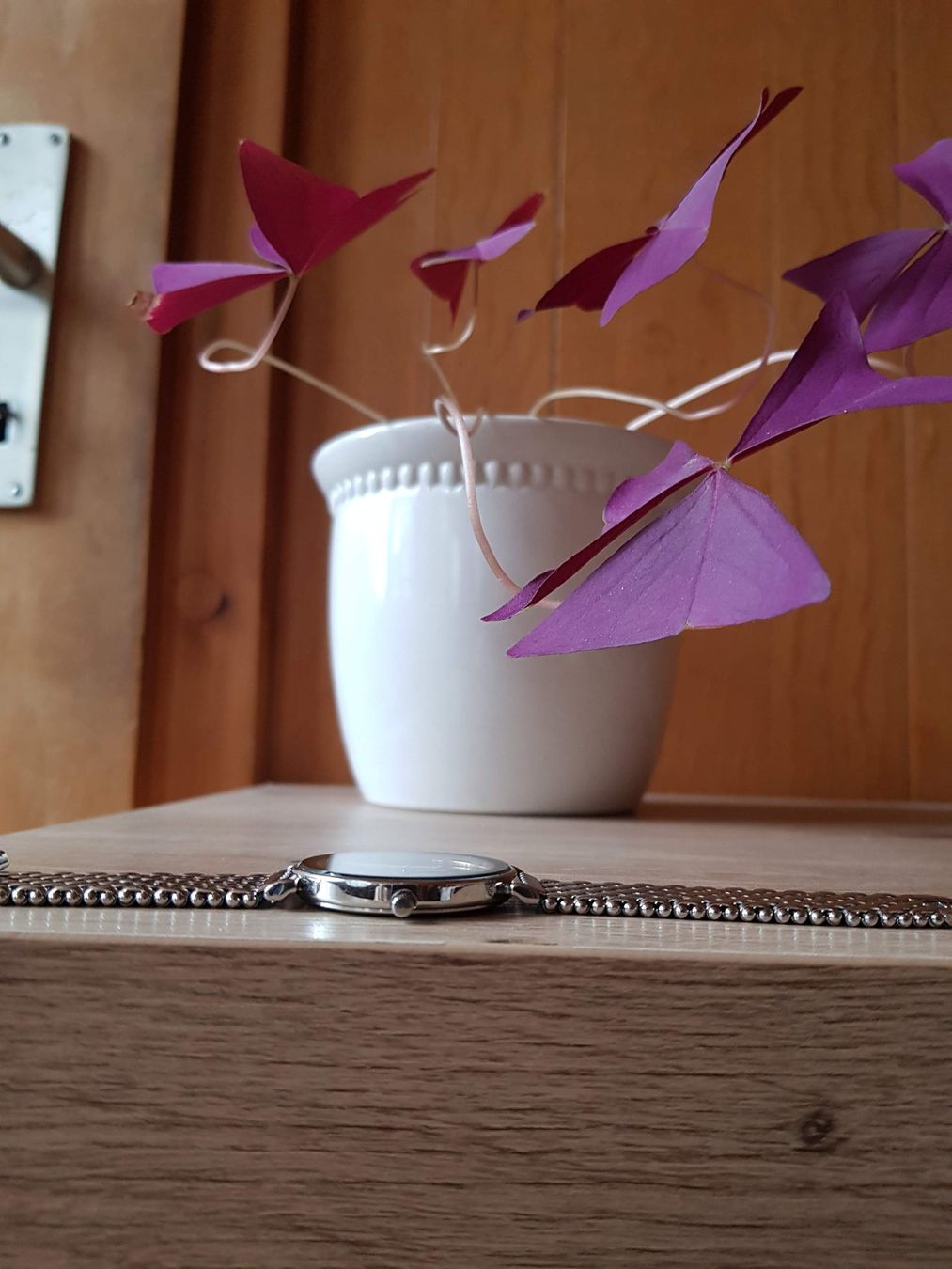 Jowissa Uhren: Original Jowissa Uhr – Gebraucht aus Zweisimmen von Adorable 5