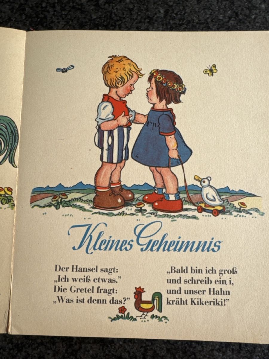 Libri: Kinderbuch Dildeldum, Buch Verlag F.W. Stritzinger – Usato da Eschenz venduto da Belladog 4
