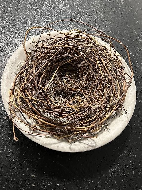 Alle Dekorationen: Deko Teller mit Nest – Gebraucht aus Sursee von gas_29n8