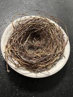 Deko Teller mit Nest