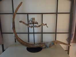 Einzigartiges Kunstwerk aus der Natur
